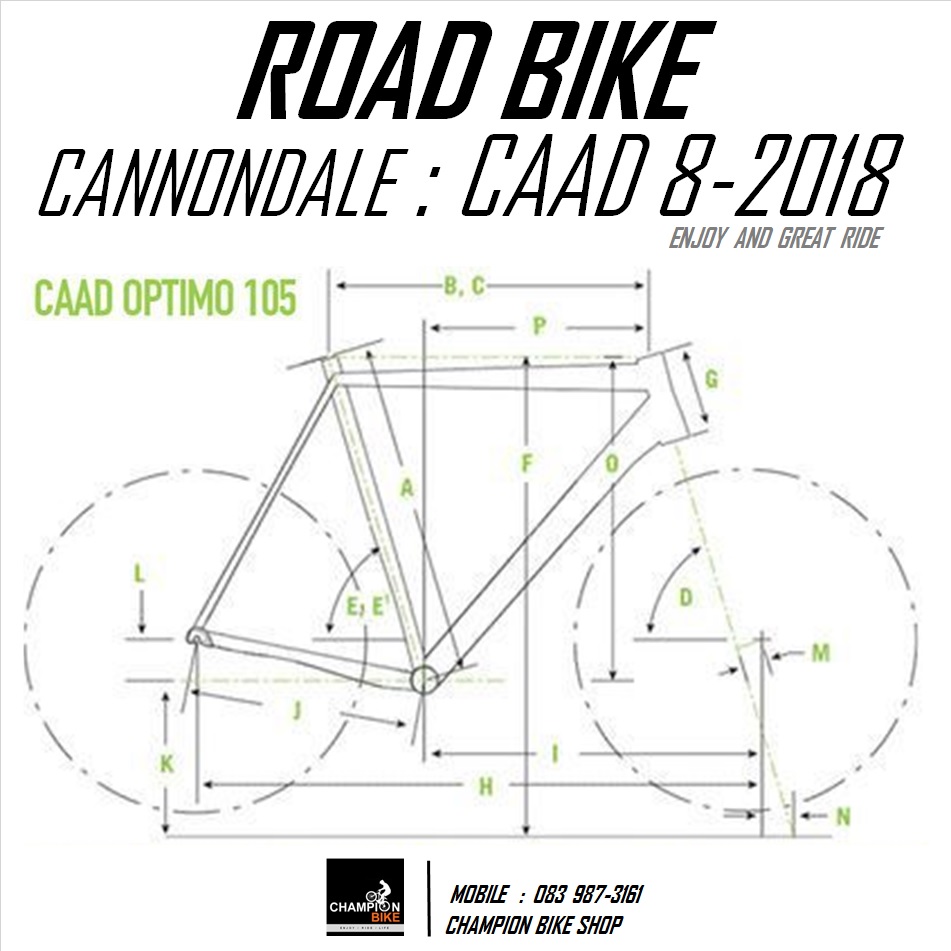 จักรยานเสือหมอบแคนนอนเดล CANNONDALE : CAAD 8 - 2018 ROAD BIKE