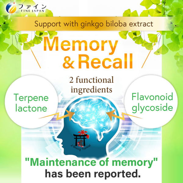 Fine Ginkgo Leaf Extract กิงโกะ มีสารสกัดใบแปะก๊วย 367 มก.ต่อวัน มากที่สุดเมื่อเทียบกับทุกแบรนด์ ฟื้นฟูความจำ, ชะลออาการโรคอัลไซเมอร์ 400 เม็ด