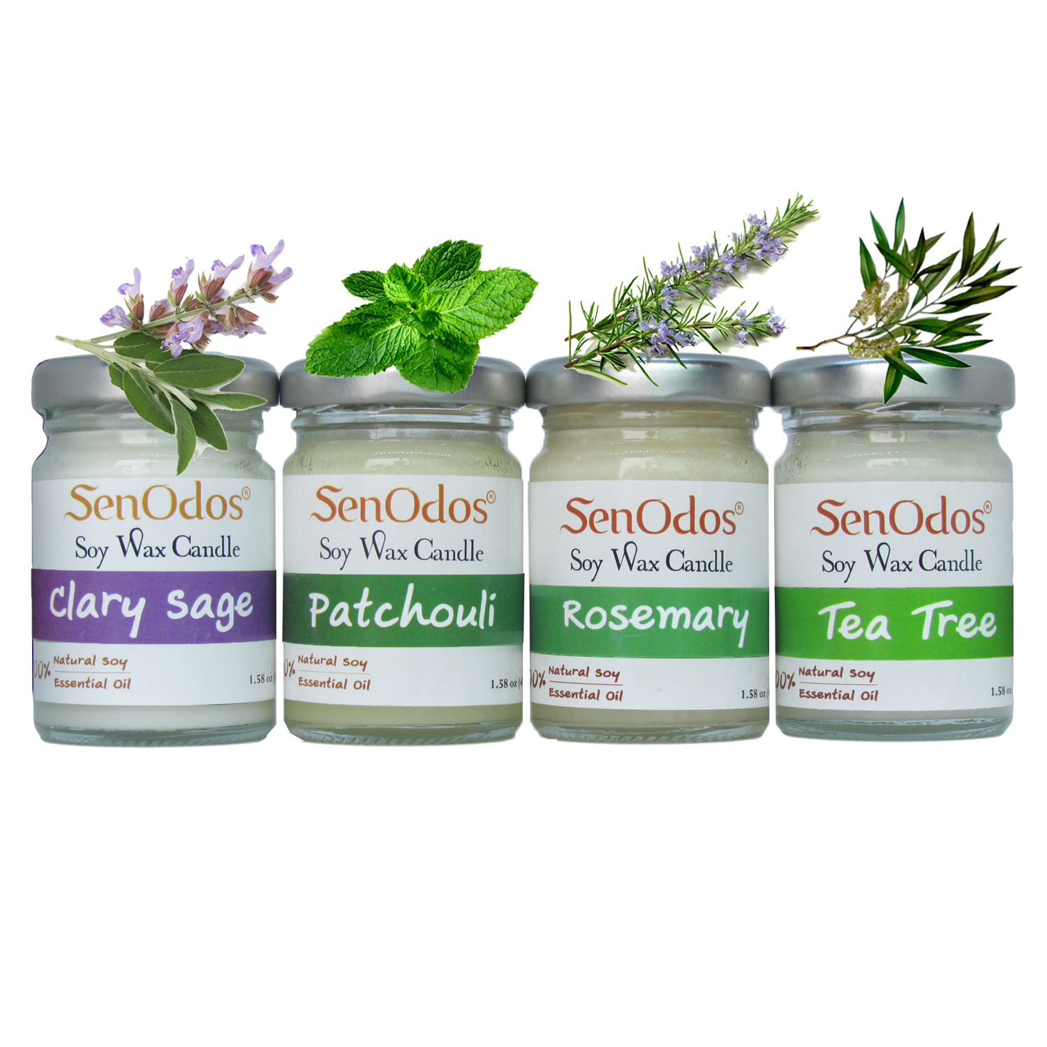SenOdos เทียนหอมอโรม่า เทียนหอมสปา กลิ่นหอมดื่มด่ำธรรมชาติ Earthly Passion Small Set - Soy Candles ขนาดเล็ก45g x 4กลิ่น(แครี่เสจ,แพทชูลี่,โรสแมรี่และทีทรีออยล์)