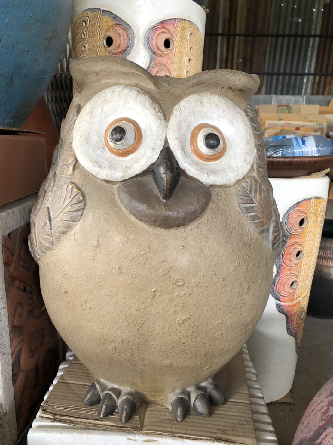 ฮ นกฮูกตาโต