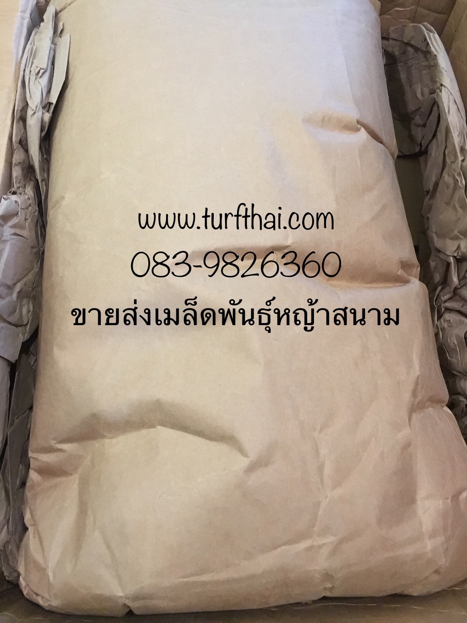 (500กรัม)เมล็ดหญ้ามาเลย์,หญ้าพรมใบอ้วน,หญ้าหลุยเซียน่า-หญ้ามาเลเซีย พร้อมคู่มือและฮอโมนแช่เมล็ด