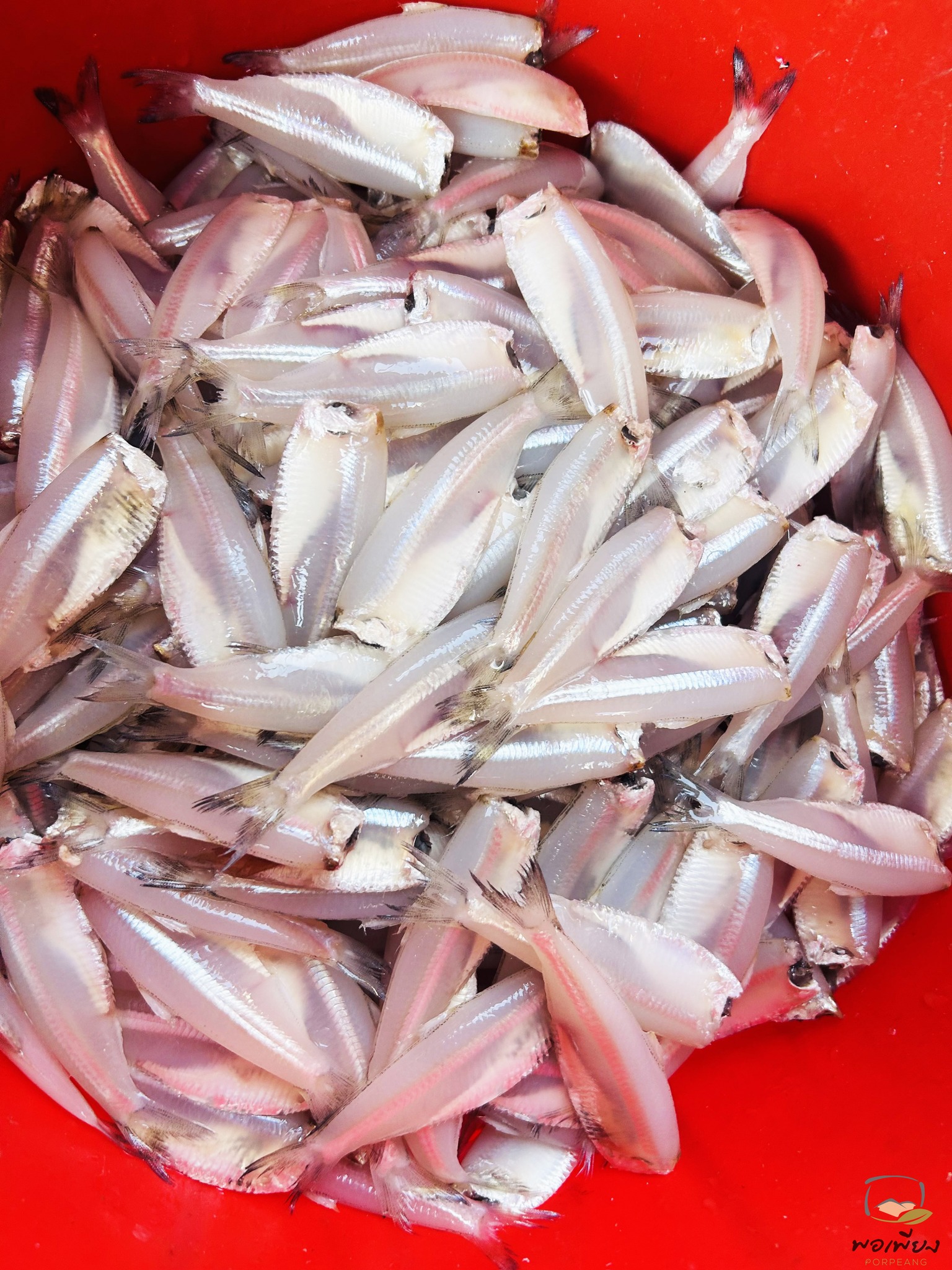 ปลาเกล็ดขาวผ่า ตากแห้ง สั่งทำพิเศษ