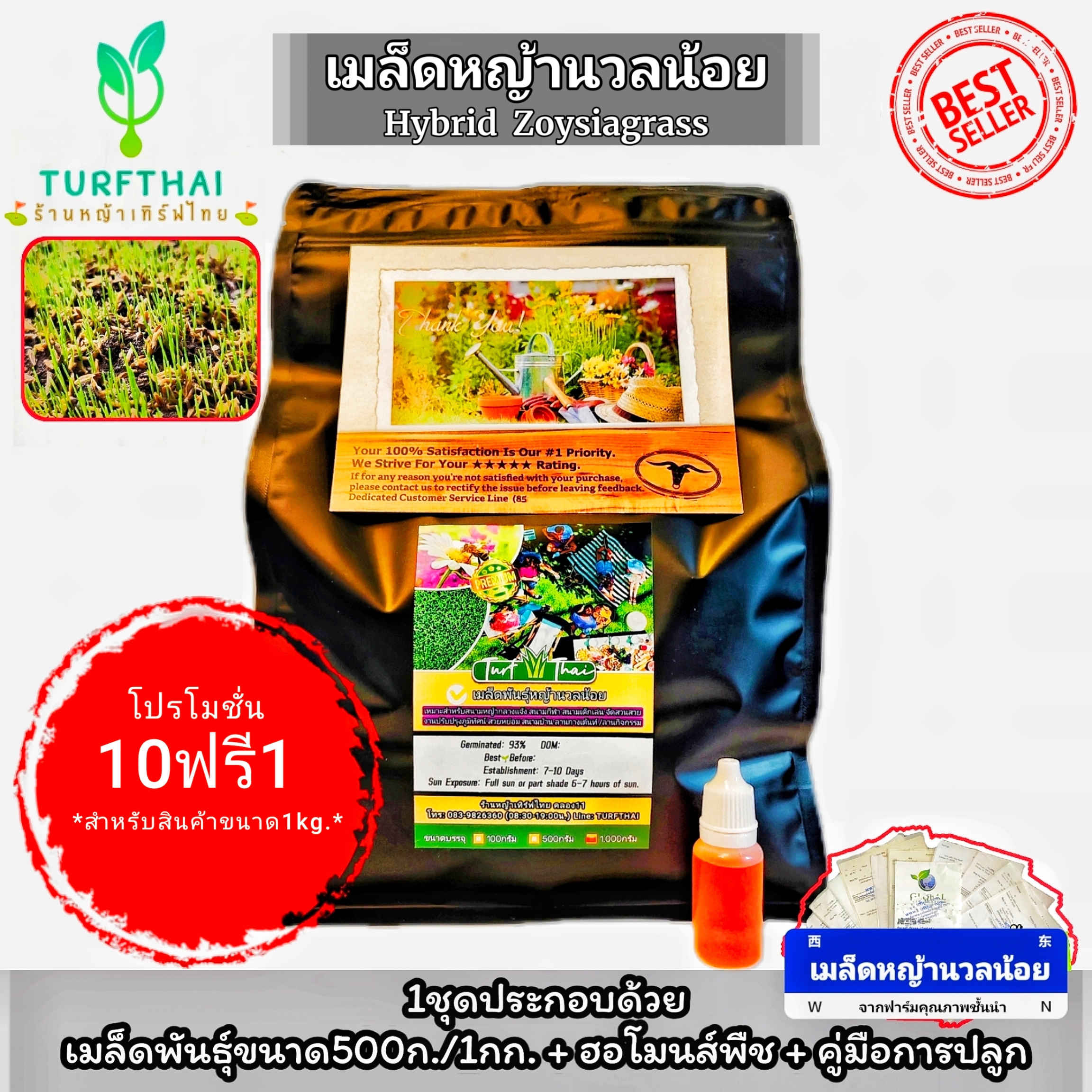 (1kg.)เมล็ดหญ้านวลน้อยนำเข้า(Hybrid Zoysia)สำหรับสนามสวยงาม+น้ำยาแช่ครบชุด