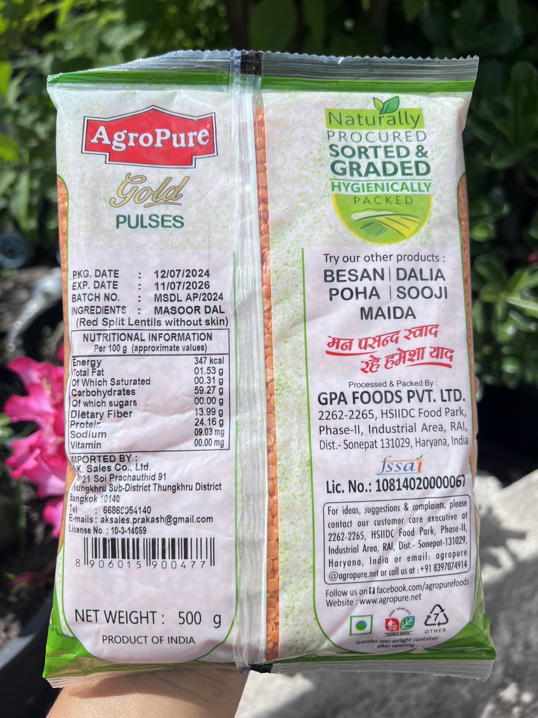 ถั่วเลนทิลแดง มาซูร์ ถั่วเลนทิลส้ม