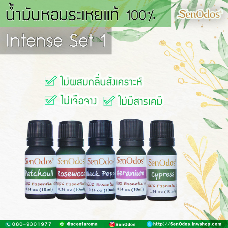 น้ำมันหอมระเหยครบ 5 ธาตุ ชุดกลิ่นหอมเข้มข้น (Intense 5 Element Essential Oils) น้ำมันหอมอโรม่าแท้ 100%