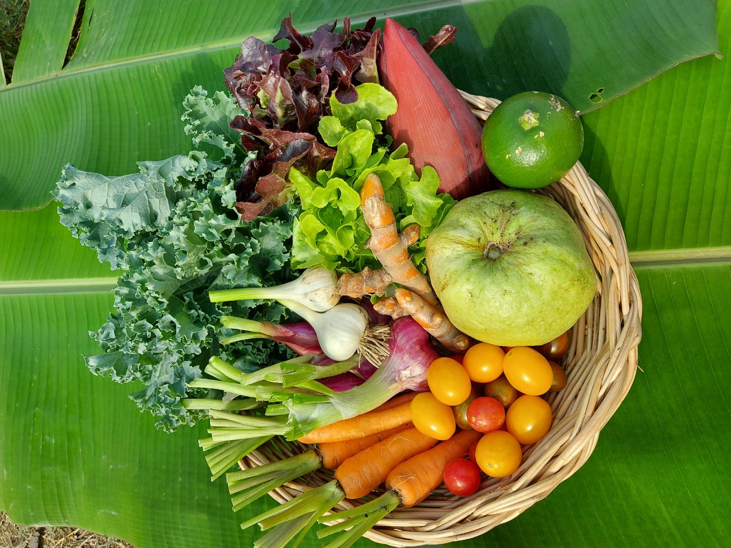 กล่องสุ่มผักอินทรีย์ ชุดเล็ก (ฟรีค่าจัดส่ง)