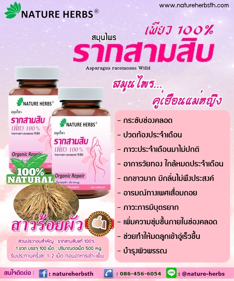 รากสามสิบเพียว 100% ชนิดแคปซูล 1 ขวด แถม ชาสมุนไพรผัวหลง ขนาด 5 ซอง 1 ห่อ