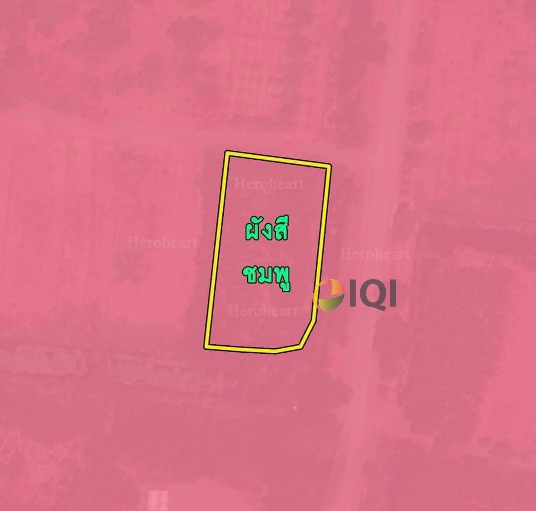 ขายที่ดิน 802 ตารางวา โครงการคันทรีการ์เด้น คลอง 3 ปทุมธานี