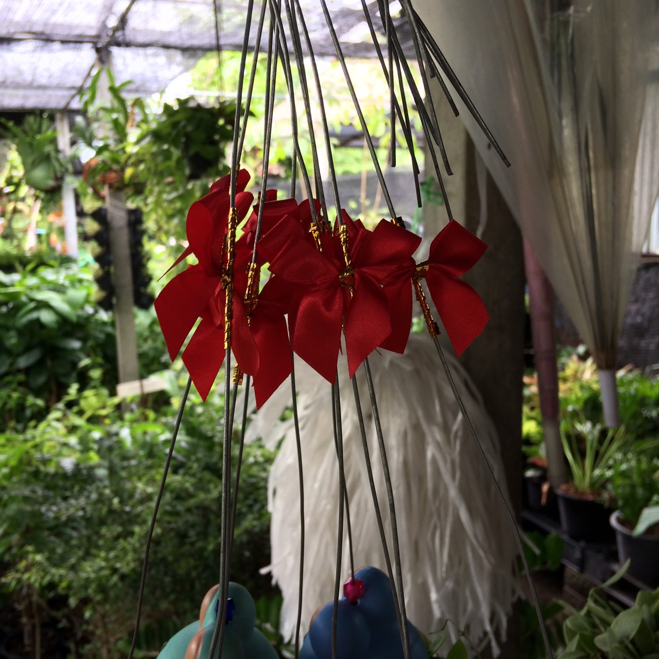 โบว์ติดถุงขนม,โบว์ตกแต่งสินค้า,โบว์ติดของขวัญ โบว์ติดคุกกี้ โบว์สำเร็จ โบว์ติดของชำร่วย-พลาสติกแอนด์ไวร์โปรดัก ฺฺBLS-01