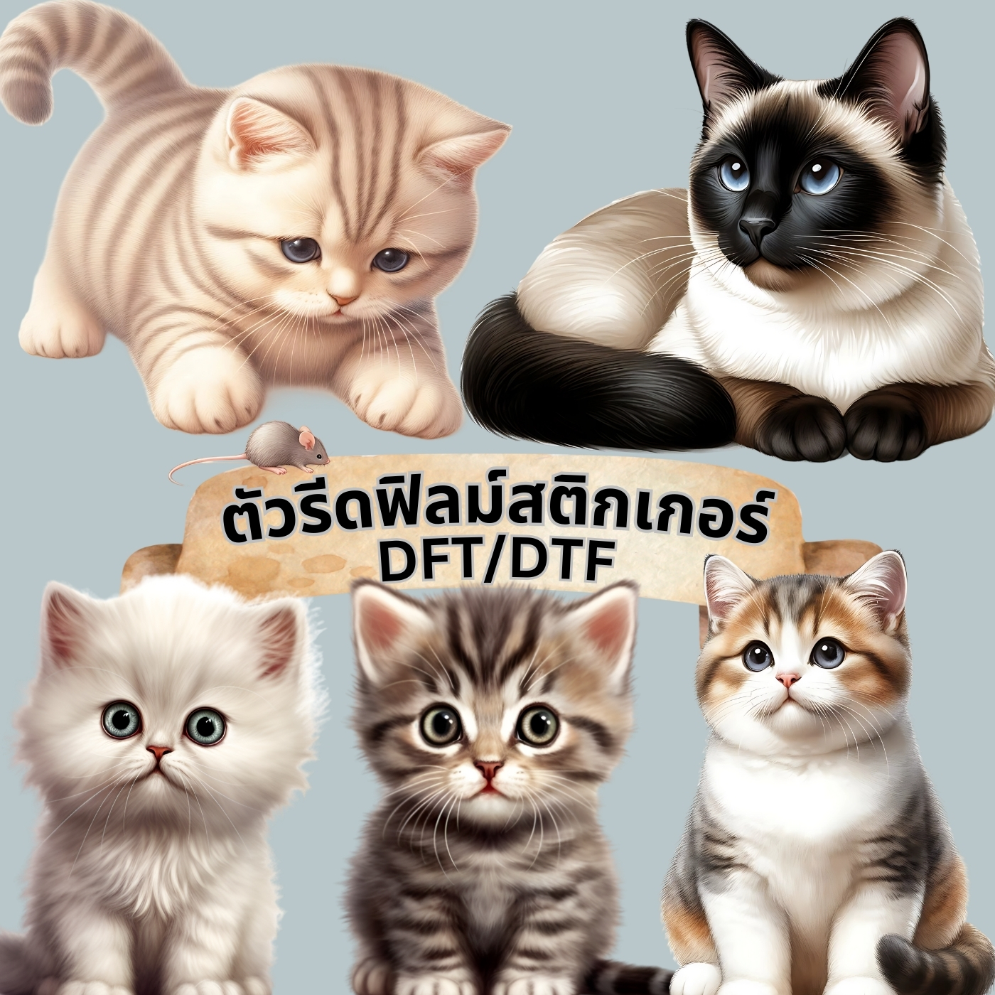 ตัวรีดติดเสื้อ แมว ทาสแมว น่ารัก ฟิลม์รีดร้อน พิมพ์ลาย สติกเกอร์รีดติดเสื้อ สกรีนลาย ฟิลม์ DFT DTF