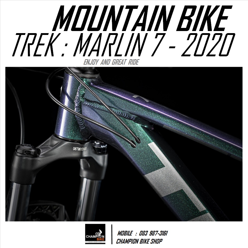 จักรยานเสือภูเขา TREK : MARLIN 7 DISC MOUNTAIN BIKE - 2020 สีเขียว-บรอนซ์