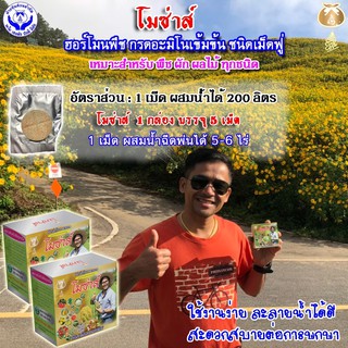 โมซ่าส์ อะมิโนจำเป็น ชนิดเม็ดฟู่