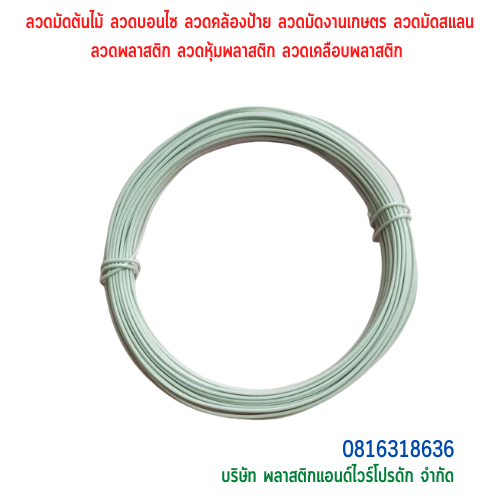 ลวดมัดต้นไม้ ลวดผูกต้นไม้ ลวดขึงสแลน ลวดเพาะชำ ลวดผูกป้าย ลวดบอนไซ ลวดคล้องป้าย ลวดมัดงานเกษตร ลวดลวดมัดสแลน หุ้มแบบกลม-บจก.พลาสติกแอนด์ไวร์โปรดัก SKU-00589