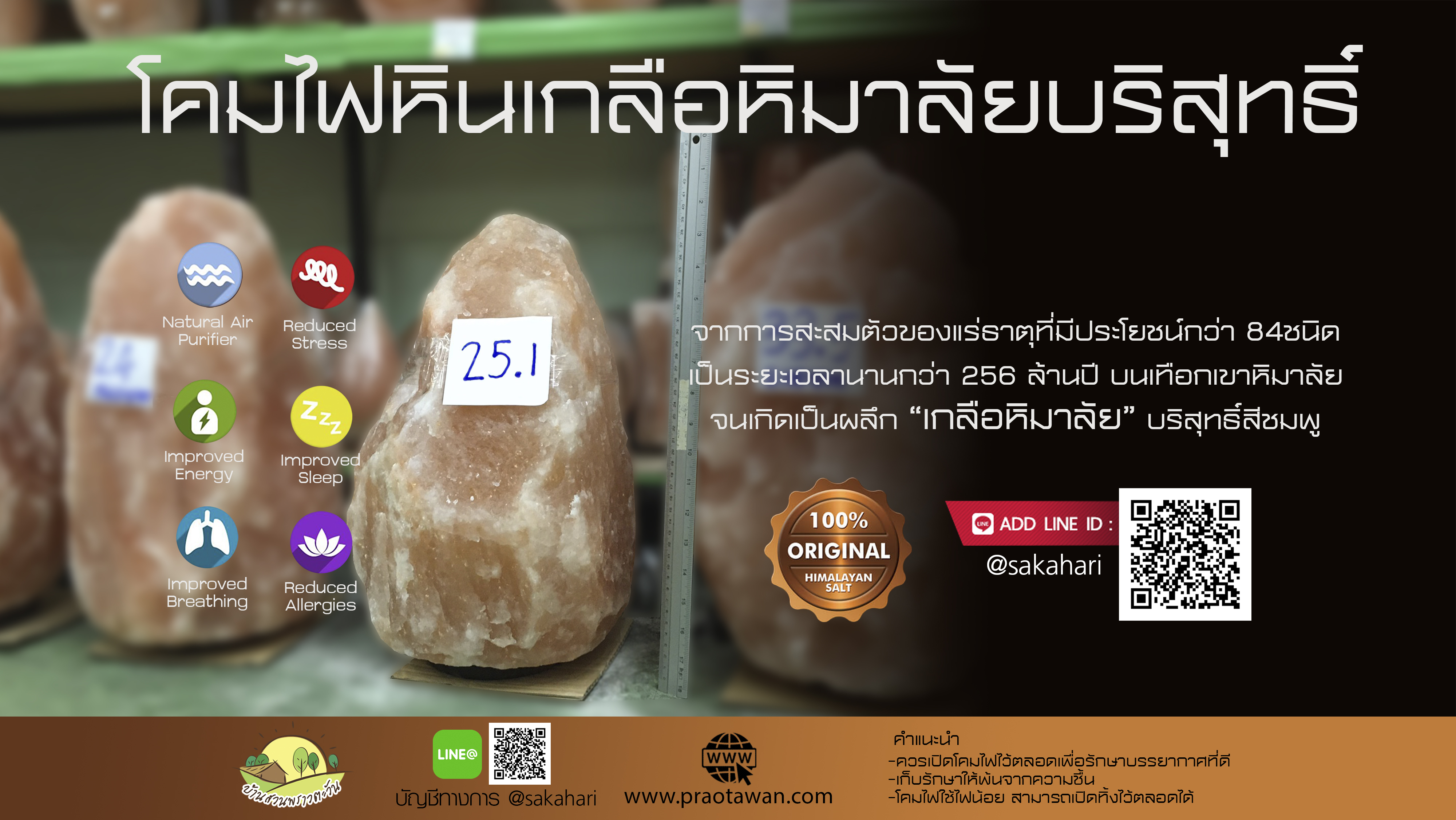 โคมไฟหินเกลือหิมาลัย New