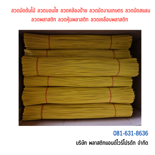 ลวดมัดต้นไม้ ลวดผูกต้นไม้ ลวดขึงสแลน ลวดเพาะชำ ลวดผูกป้าย ลวดบอนไซ ลวดคล้องป้าย ลวดมัดงานเกษตร ลวดลวดมัดสแลน หุ้มแบบกลม-บจก.พลาสติกแอนด์ไวร์โปรดัก SKU-00122