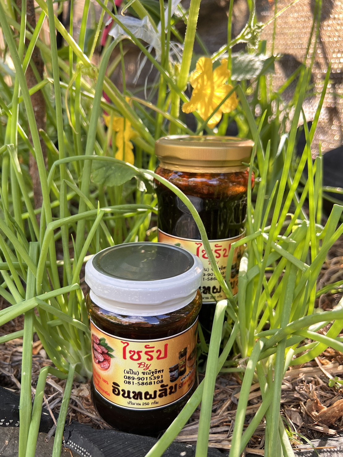 อินทผาลัมไซรัป (ขวดเล็ก250กรัม) *ไม่มีน้ำตาล