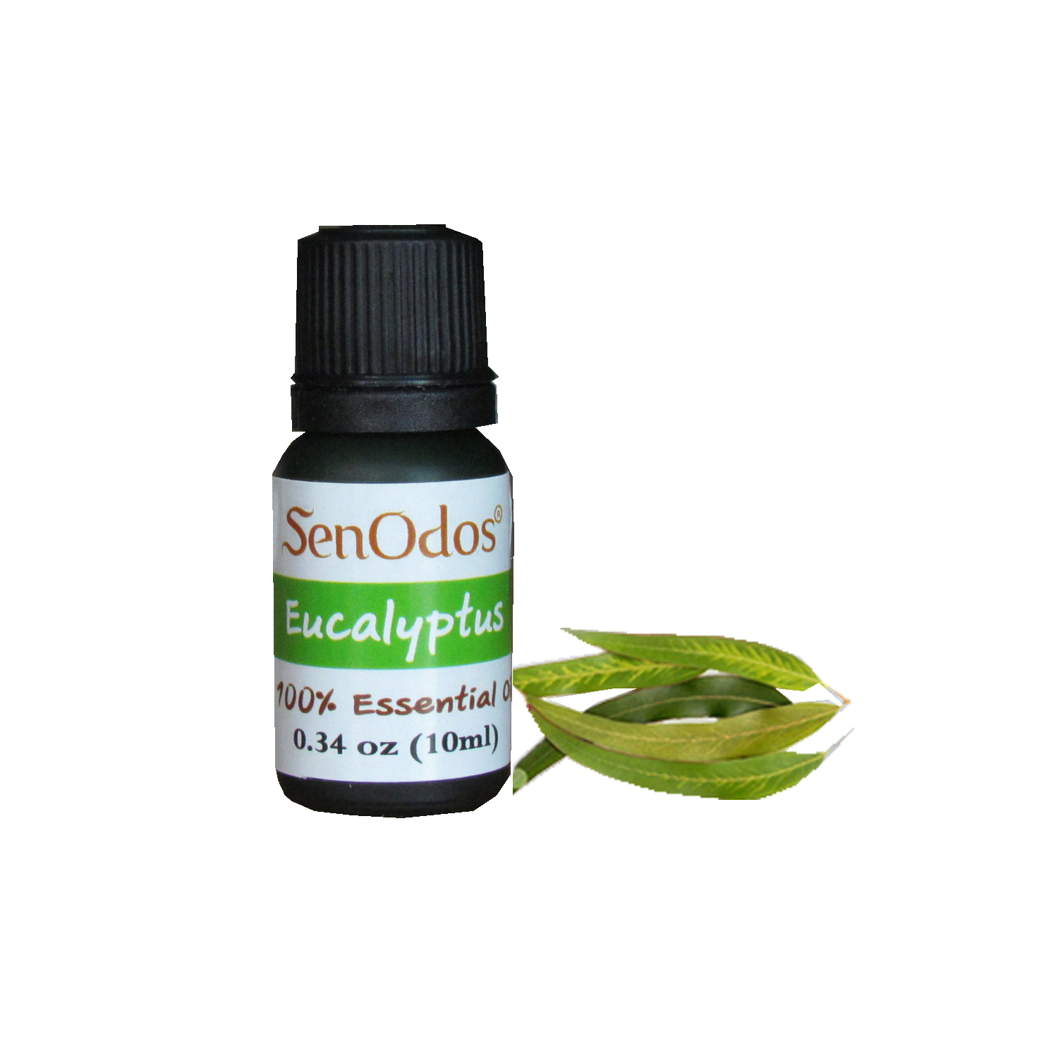 ชุดน้ำมันหอมระเหยแท้ กลิ่นยูคาลิปตัส 10 ml. + เตาเผาน้ำมันหอมระเหย เซรามิค เครื่องปั้นดินเผา เนื้อศิลาดล สีเขียวหยก ลวดลายใบมะกอก และลายน้ำไหลหลากสีสวยงาม (แถมฟรี!! เทียนไขถั่วเหลืองบริสุทธิ์ 15 g. X 2 ชิ้น ราคา 120 บาท)