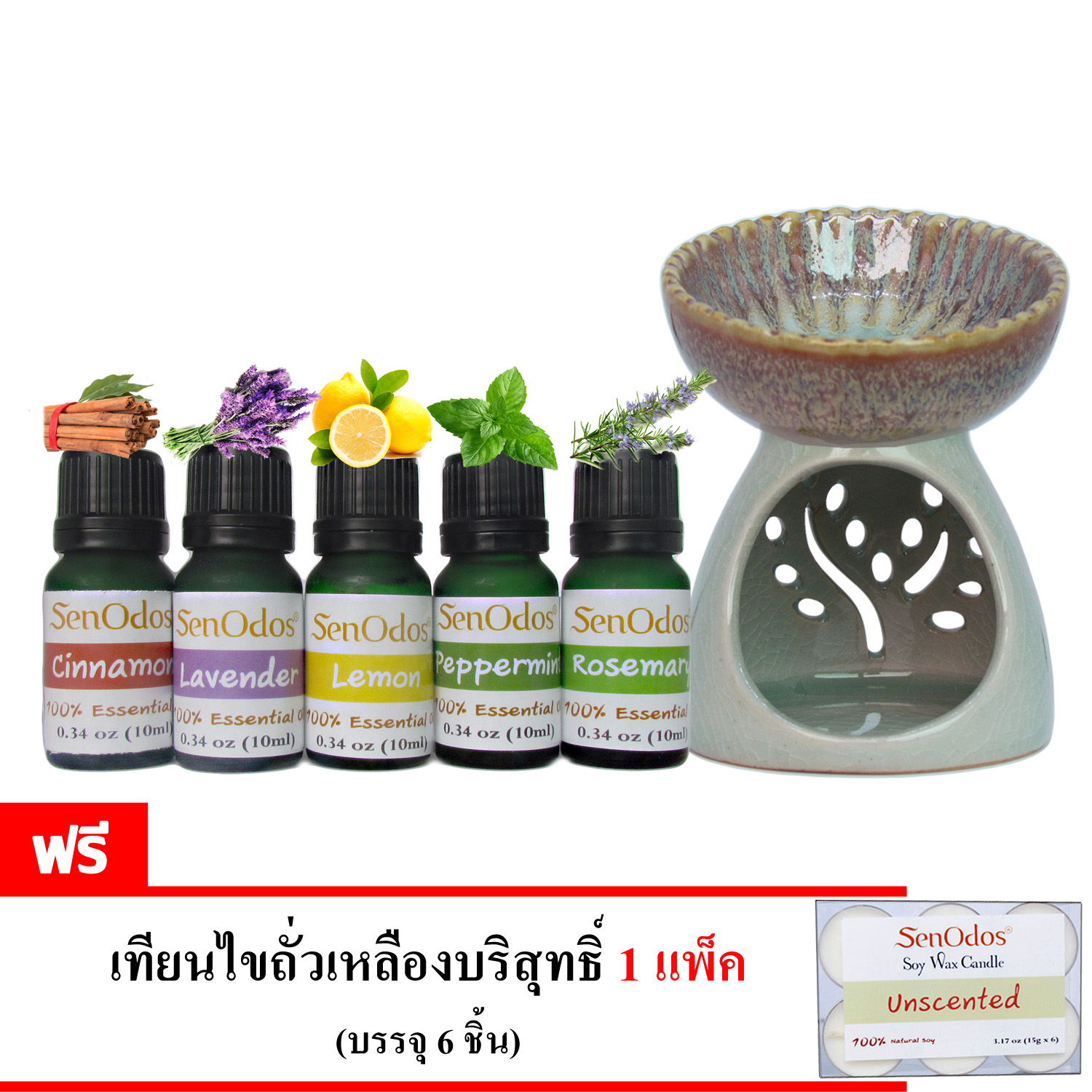 SenOdos ชุดเตาเผา น้ำมันหอม อโรม่า กลิ่นเพิ่มประสิทธิภาพการทำงาน (Productivity Set) 10 ml x 5 กลิ่นซินนาม่อน,ลาเวนเดอร์,เลม่อน,เปปเปอร์มินต์,โรสแมรี่