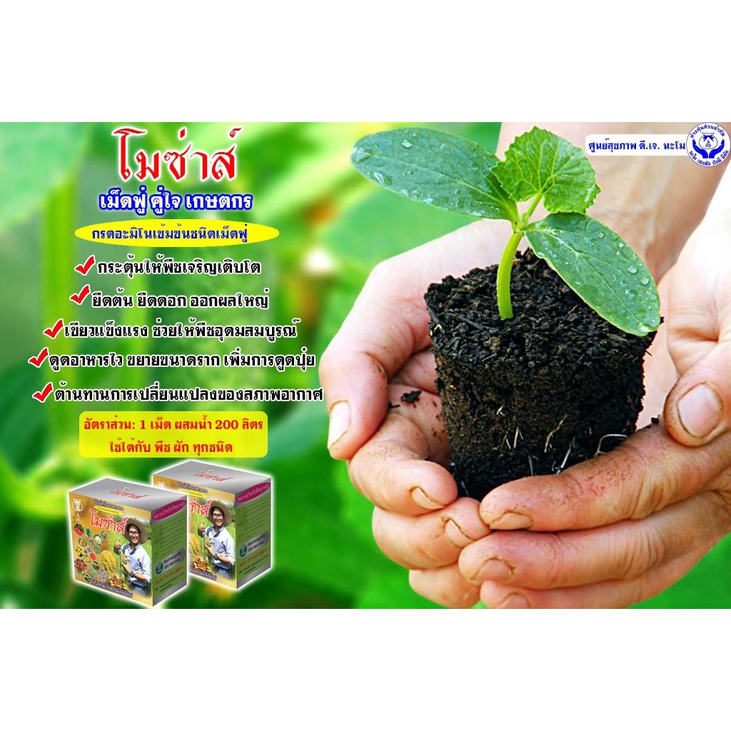 โมซ่าส์ อะมิโนจำเป็น ชนิดเม็ดฟู่