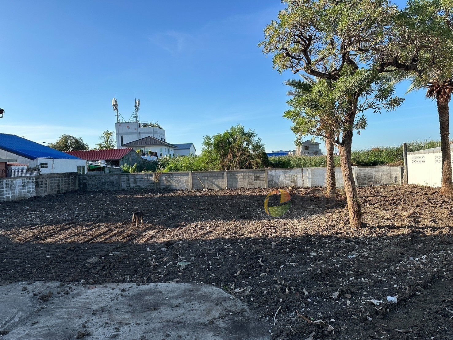 ขายที่ดินเปล่า โฉนด 2 แปลง ในหมู่บ้านปลาทอง ศรีนครินทร์ ติดMRT สายสีเหลือง (สถานีศรีด่าน)