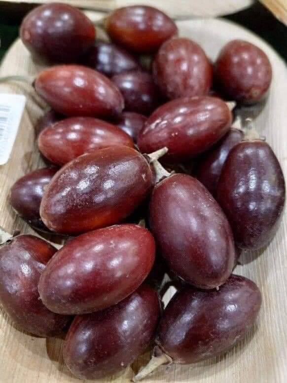 ต้นละมุดสีดา ทาบกิ่งสวยๆ