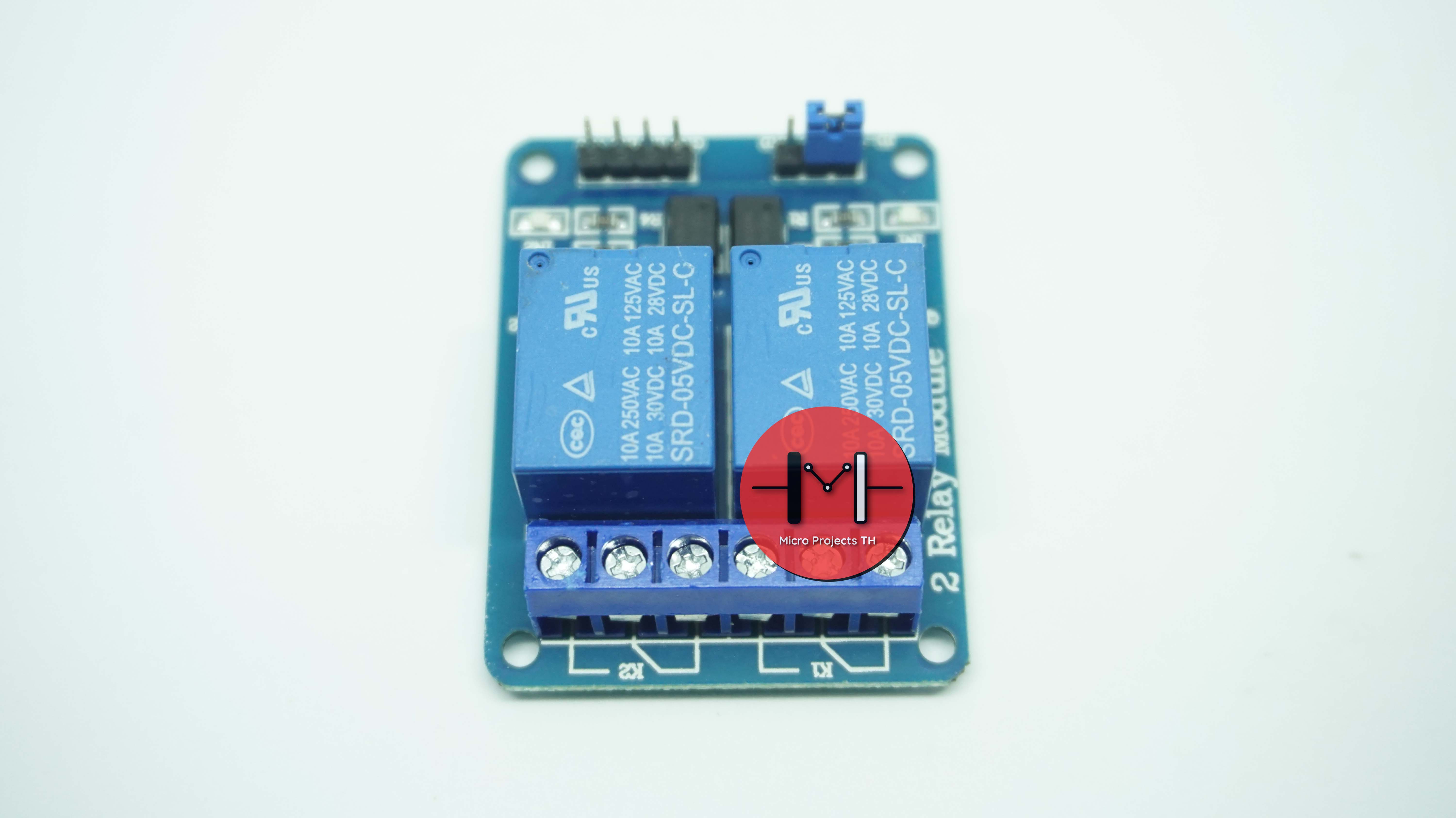 Module Relay 2 Channel 5V 250V/10A