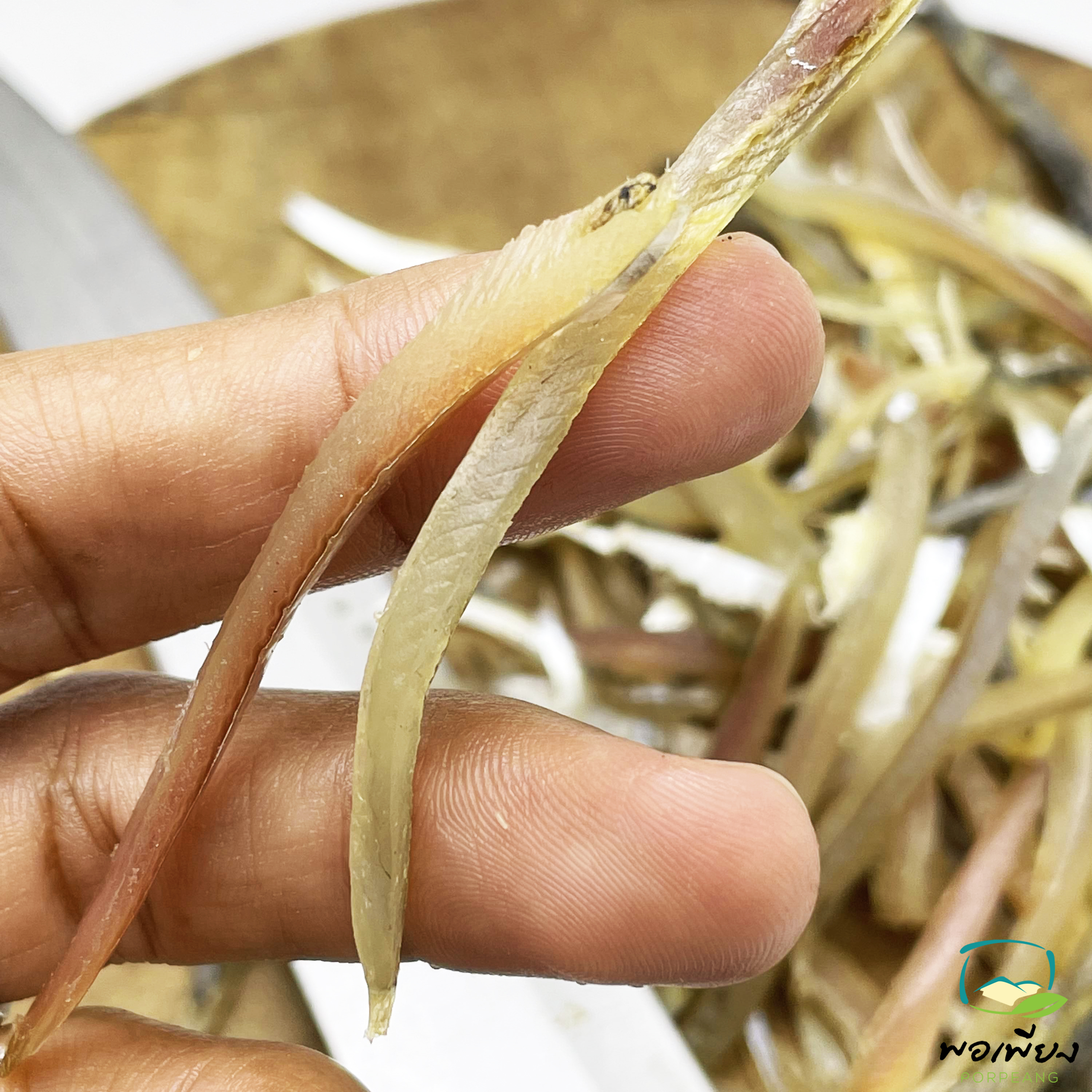 ปลาโคบเส้น 1แพค 150 บาท