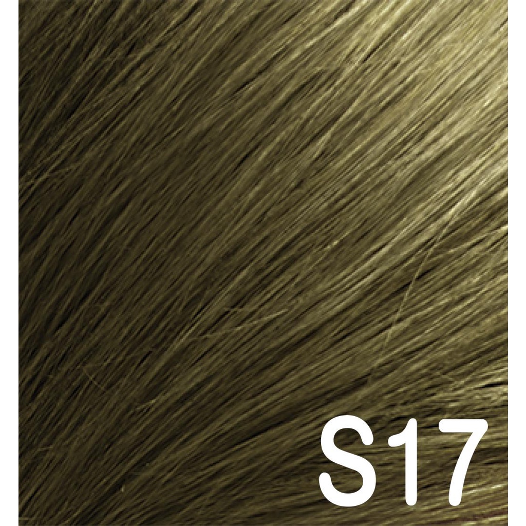 DIPSO HAIR COLOR #S17 Gray Green Ash Blond ยาย้อมผม ติ๊พโซ่ แฮร์ คัลเลอร์ S17 สีบลอนด์เทาอมเขียวประกายหมอก ขนาด 110 กรัม