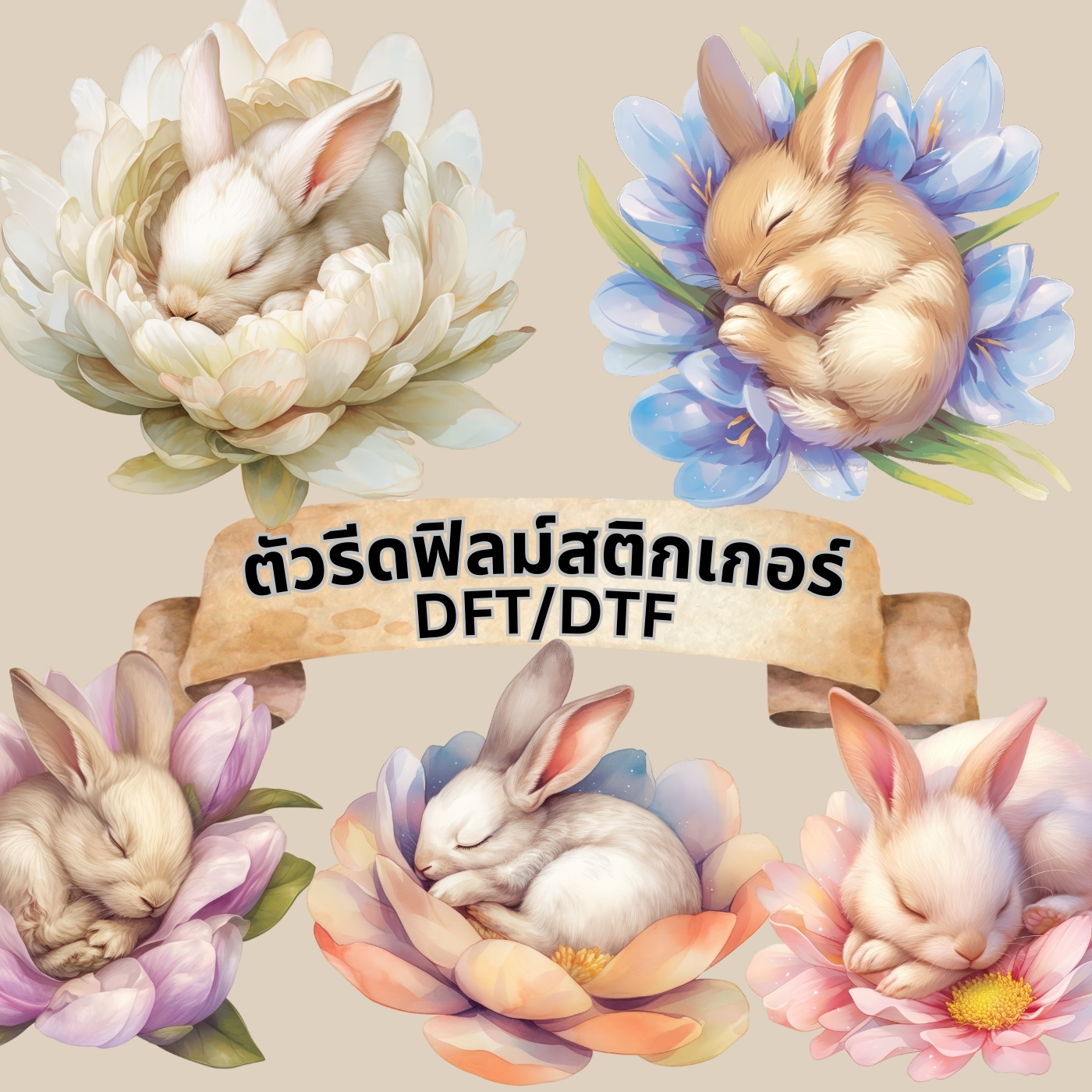 ตัวรีดติดเสื้อ กระต่ายน้อย ฟิลม์รีดร้อน พิมพ์ลาย สติกเกอร์รีดติดเสื้อ สกรีนลาย ฟิลม์ DFT DTF