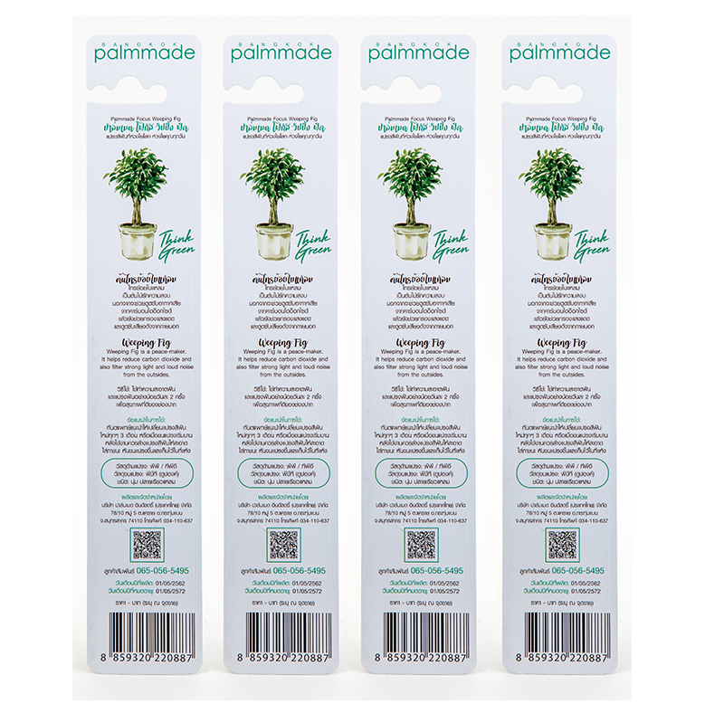 19075-แปรงสีฟัน โฟกัส วิปปิ้ง ฟิค (12 ชิ้น)