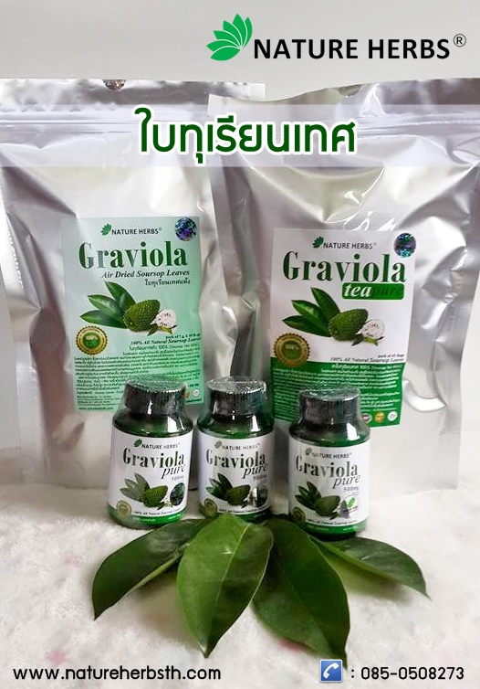 ใบทุเรียนเทศเพียว 100% ซอง 7 กรัม บรรจุ 15 ซอง สำหรับต้มต่อวัน เกรดพรีเมี่ยม พิฆาตมะเร็ง 1 ห่อ