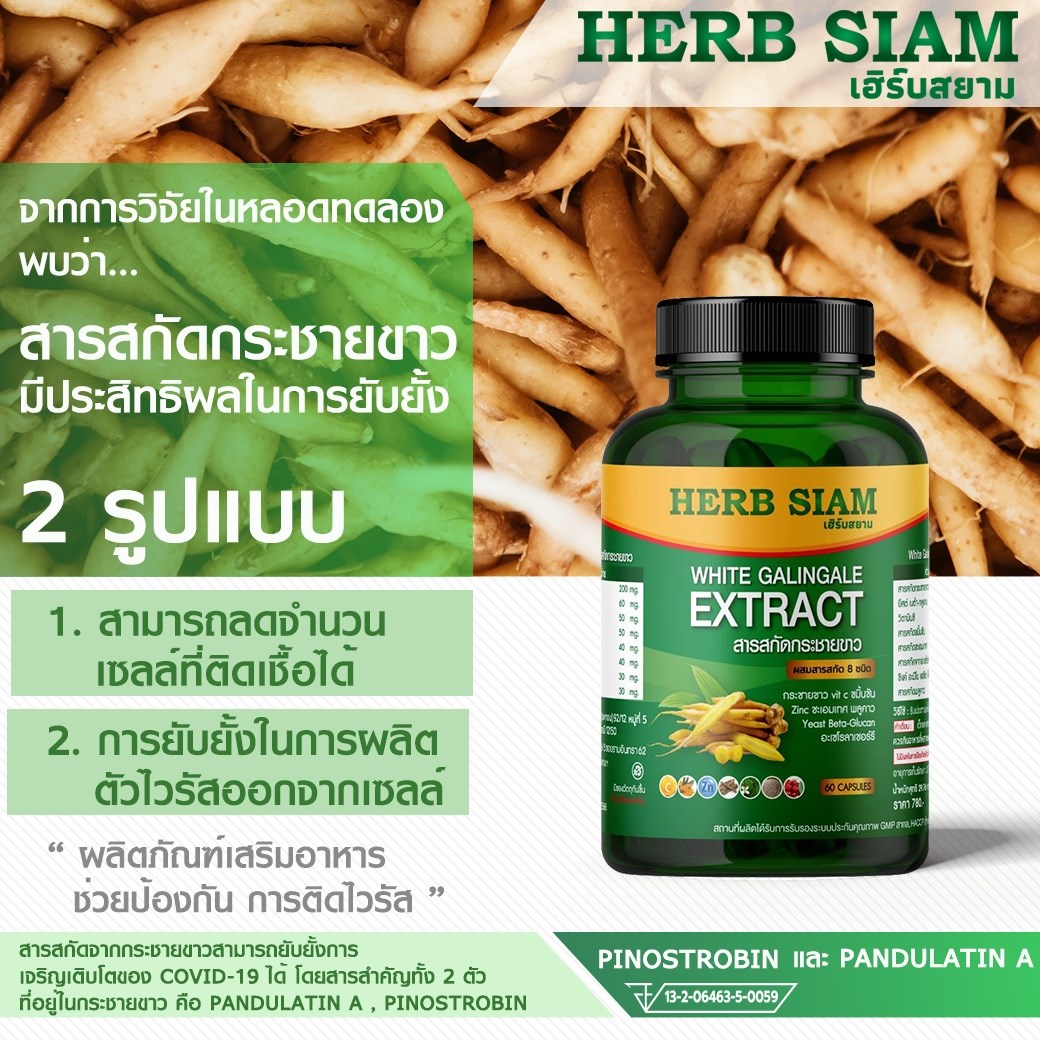 Herb Siam สารสกัดกระชายชาว