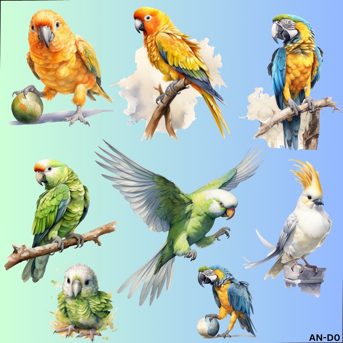 ตัวรีดติดผ้า ตัวรีดติดเสื้อ แบบสติกเกอร์ เซท นกแก้ว พิมพ์ลาย สกรีนลาย ฟิลม์ DFT DTF