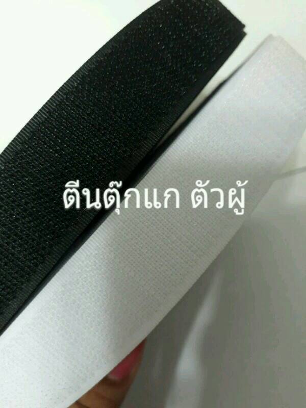 ตีนตุ๊กแก สีขาว กว้าง 2นิ้ว ยาว 18หลา ราคาคู่ ละ 350บาท