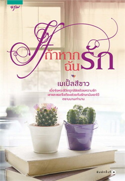 IF ถ้าหากฉันรัก : ให้เช่า อรุณ