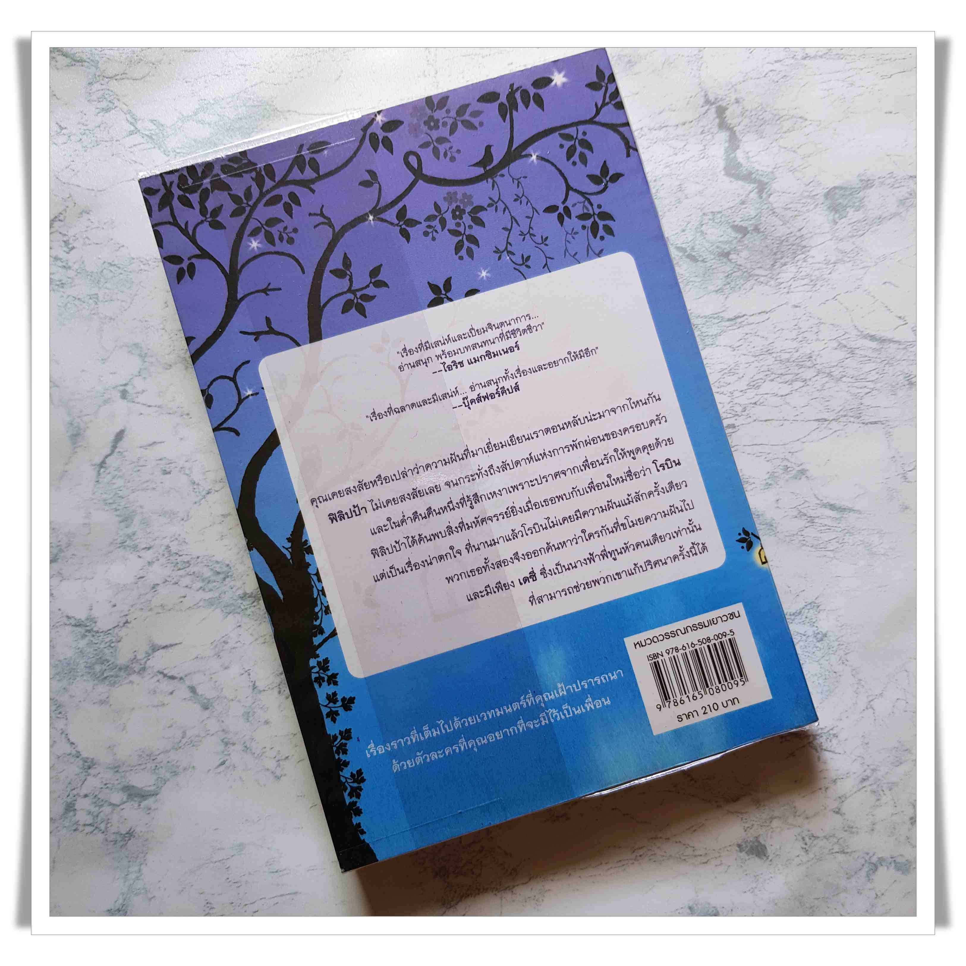 หนังสือ ฟิลิปป้า พิชเชอร์ กับลูกสาวของนักสร้างฝัน Philippa Fisher and The Dream Maker's Daughter