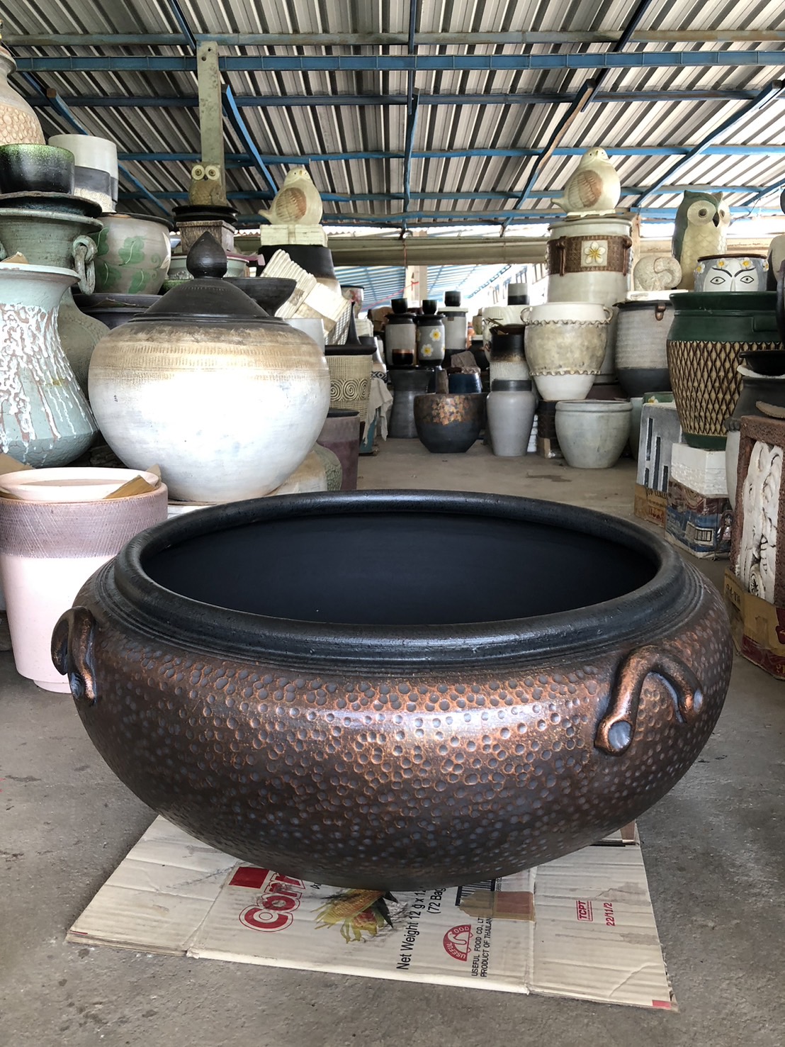 กระถางบัวทรงเตี้ย