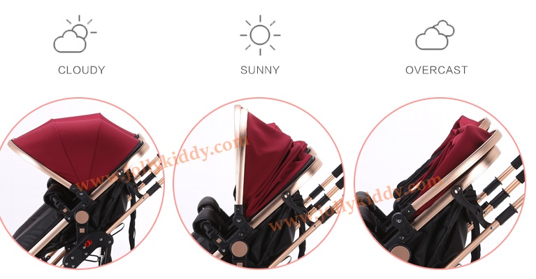 รถเข็นเด็กแฝด ที่นั่งคู่ Premium Red Wine สีแดง CS10170