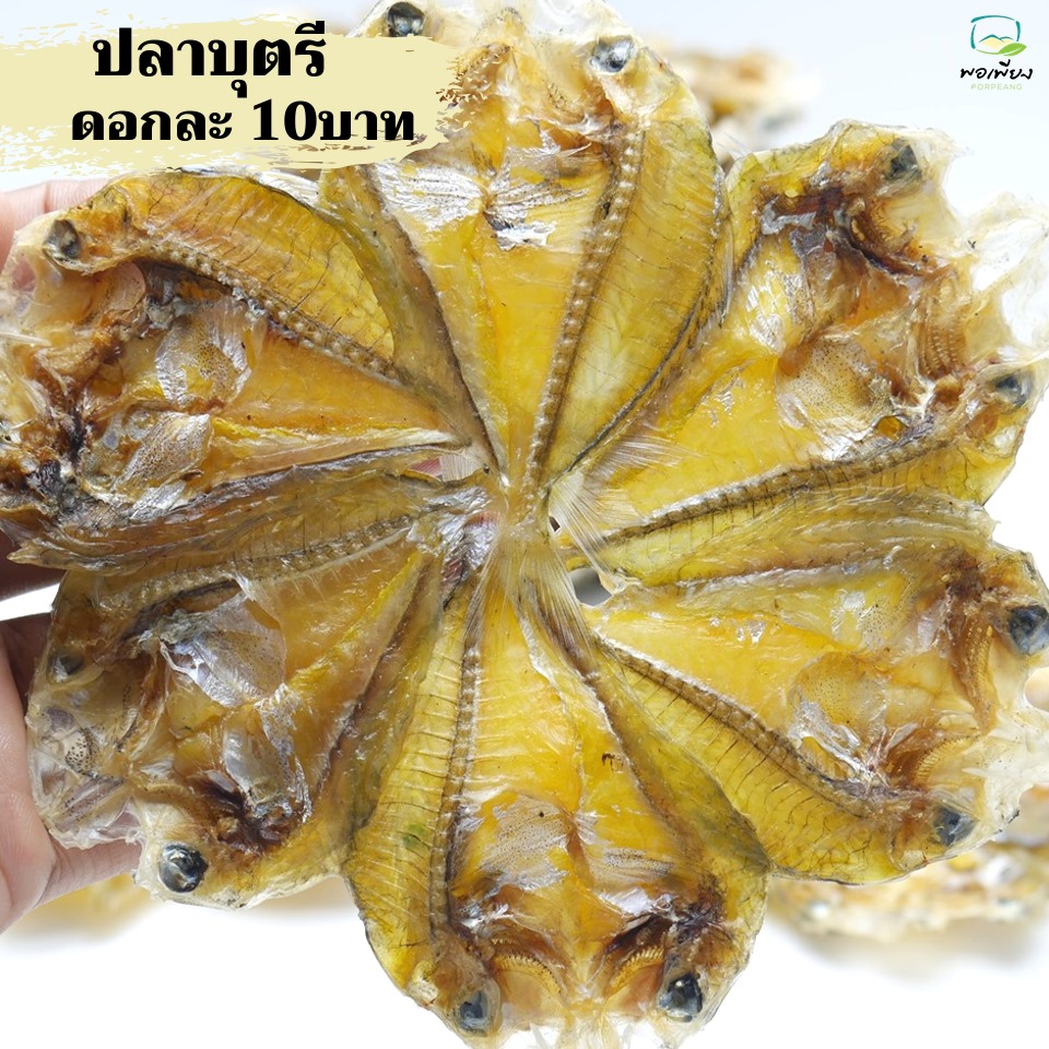 ปลาบุตตรี วงละ 10 บาท / 1แพค 100 บาท