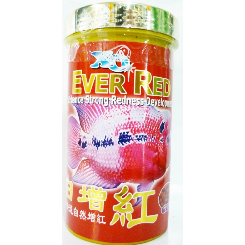 XO EVER RED อาหารเร่งสี ปลาหมอสี (medium large)