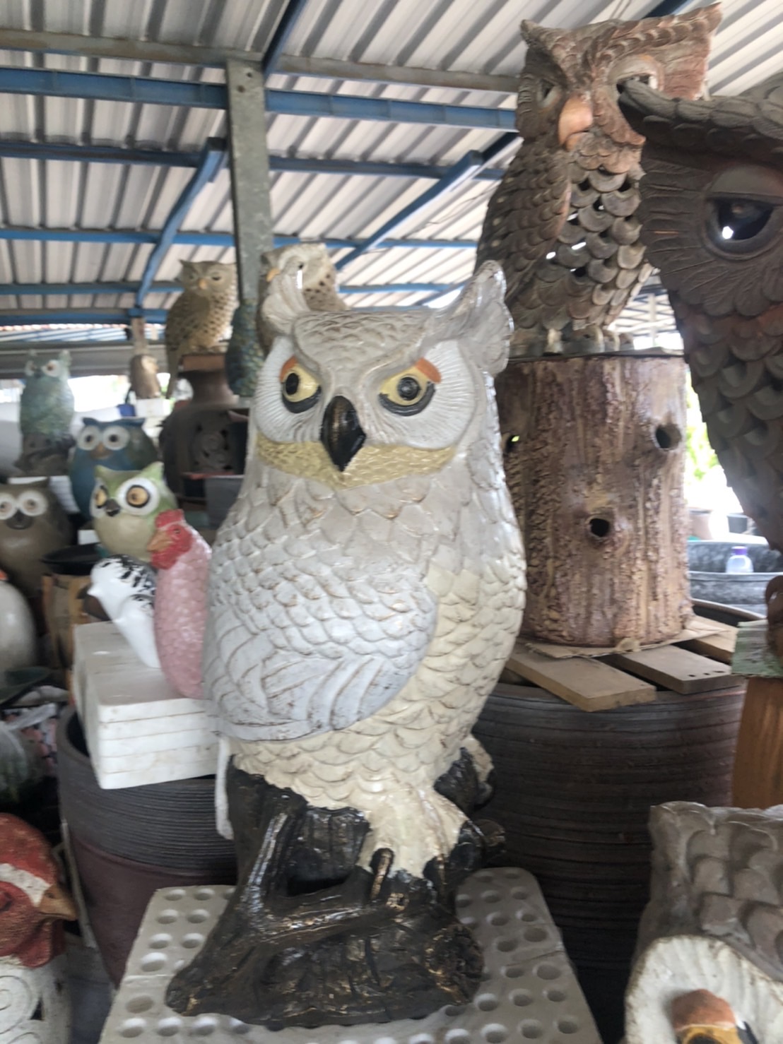 นกฮูกขาวพร้อมขอนไม้ยืน