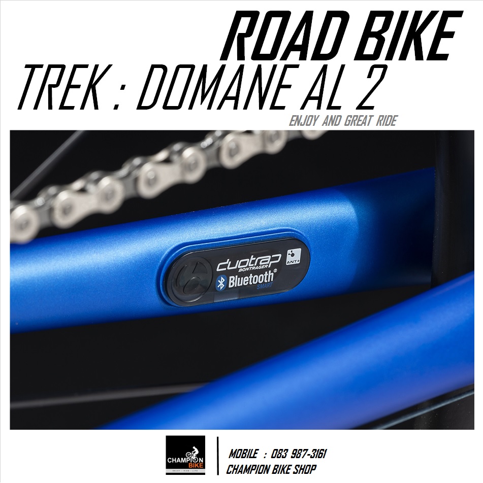 จักรยานเสือหมอบ TREK : DOMANE AL 2 ROAD BIKE - 2020