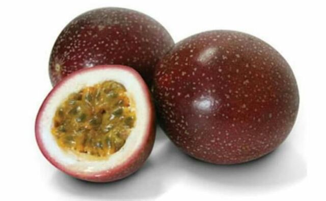 ต้นเสาวรส พันธุ์สีม่วง(รสหวาน)