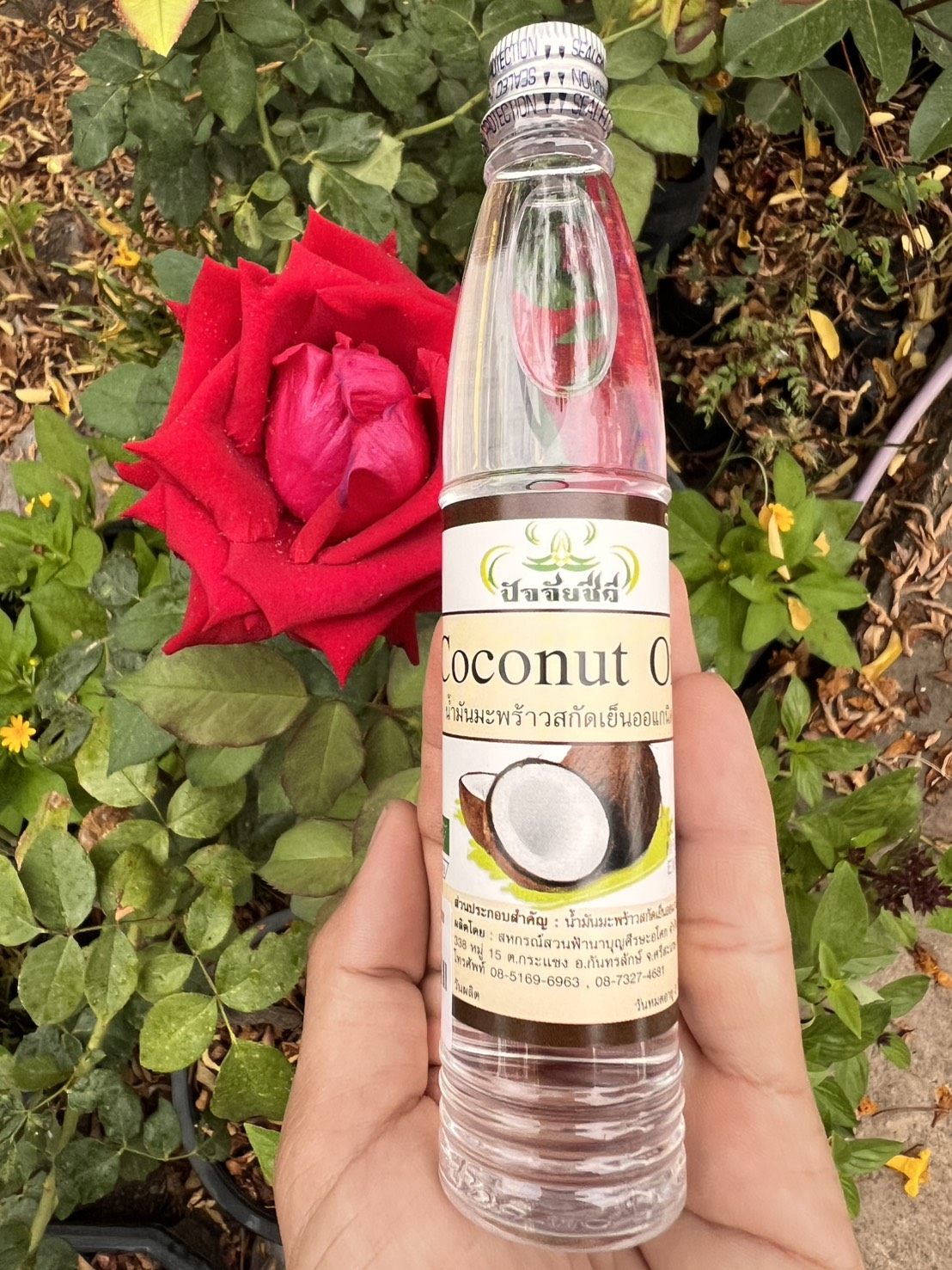น้ำมันมะพร้าวสกัดเย็นออแกนิค 120 มล. น้ำมันมะพร้าวสกัดเย็น ปัจจัยชีวี