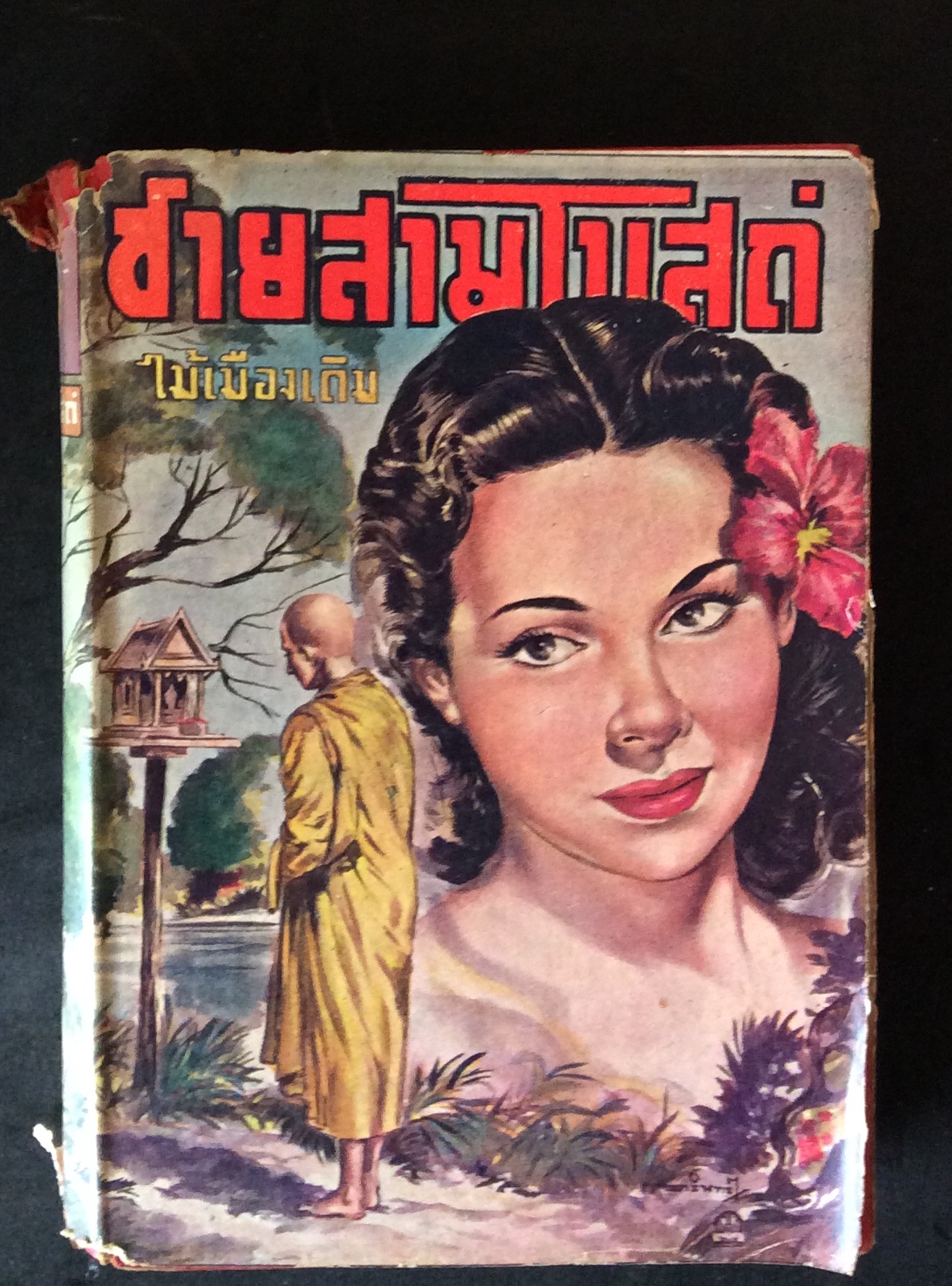 ชายสามโบสถ์/ไม้เมืองเดิม