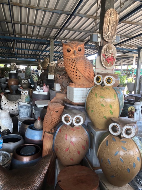 นกฮูกตาโต