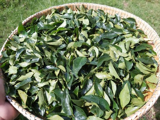 แบบแห้ง ใบเคอรี่ลิฟ 50กรัม