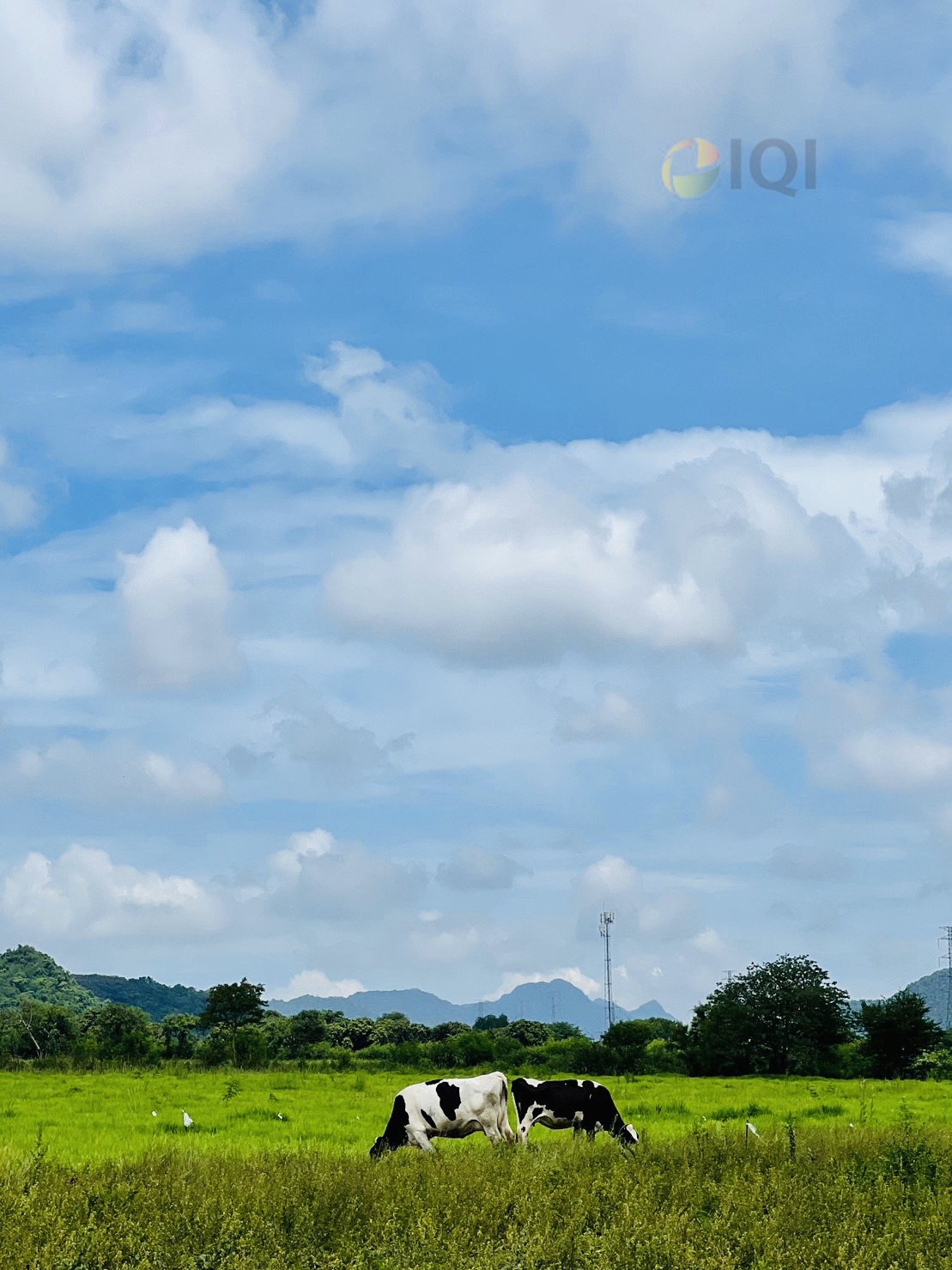 ขายที่ดิน วิวภูเขา เนื้อที่ 5ไร่ 2 งาน 81 ตารางวา ฮวงจุ้ยมังกรหลังพิงเขา