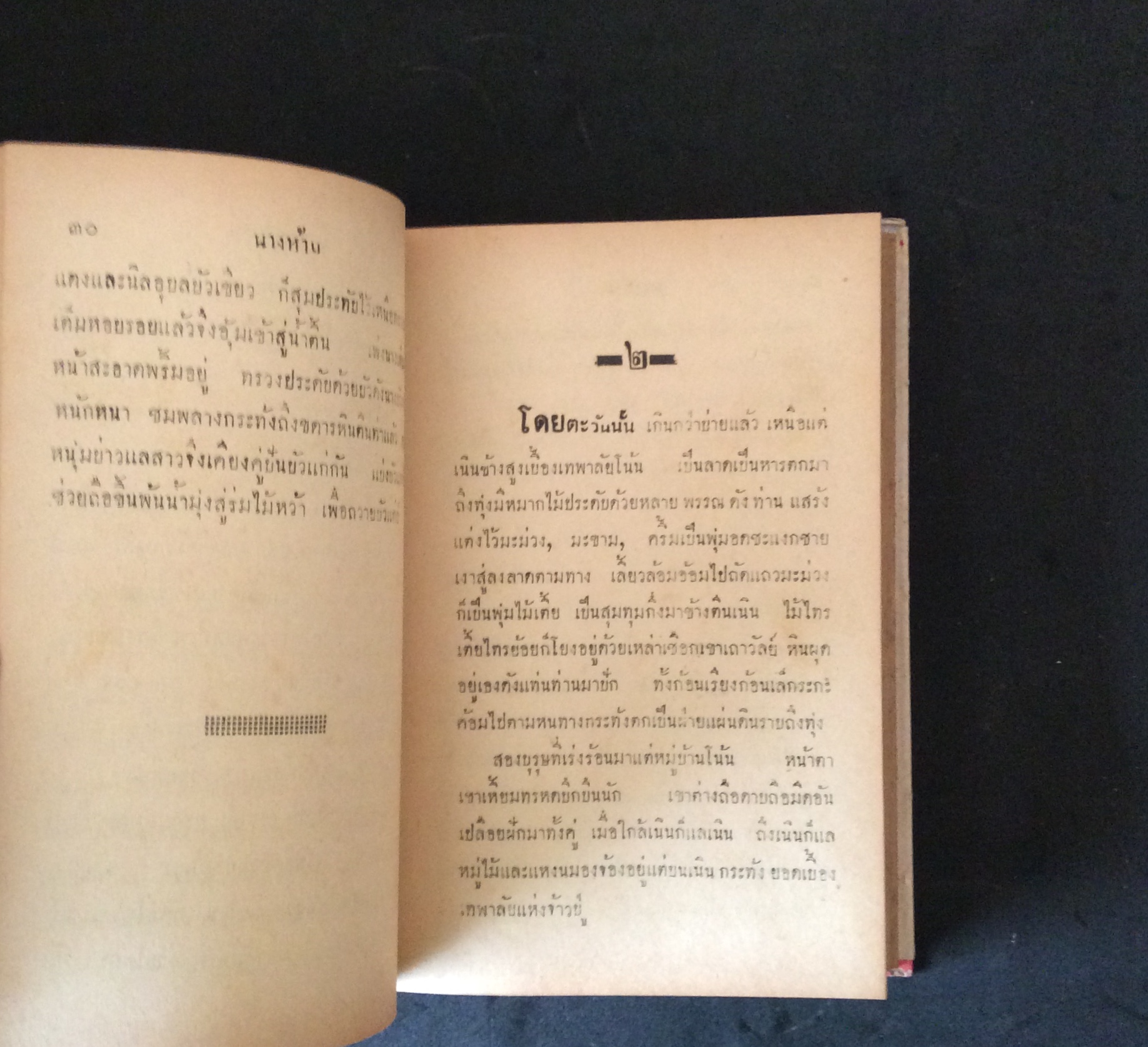 นางห้าม/ไม้เมืองเดิม