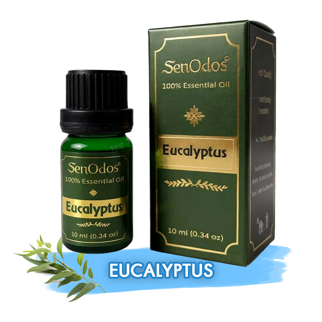 SenOdos น้ำมันหอมระเหยแท้ กลิ่นยูคาลิปตัส 10 ml. Eucalyptus Pure Essential Oils